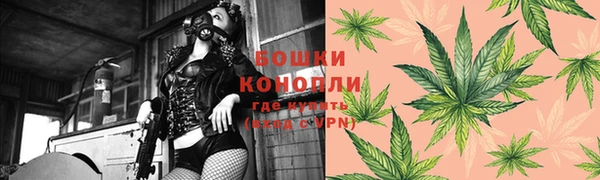 2c-b Горнозаводск