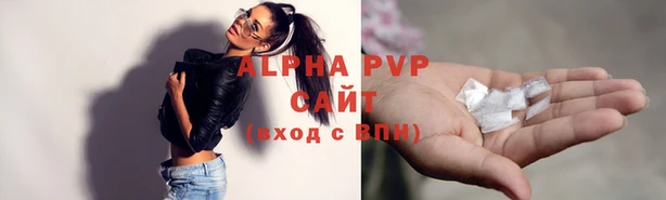 амф Вяземский