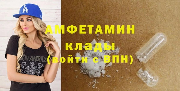 амф Вяземский