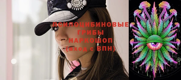 амф Вяземский