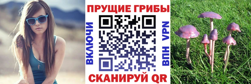 Галлюциногенные грибы прущие грибы  Омутнинск 